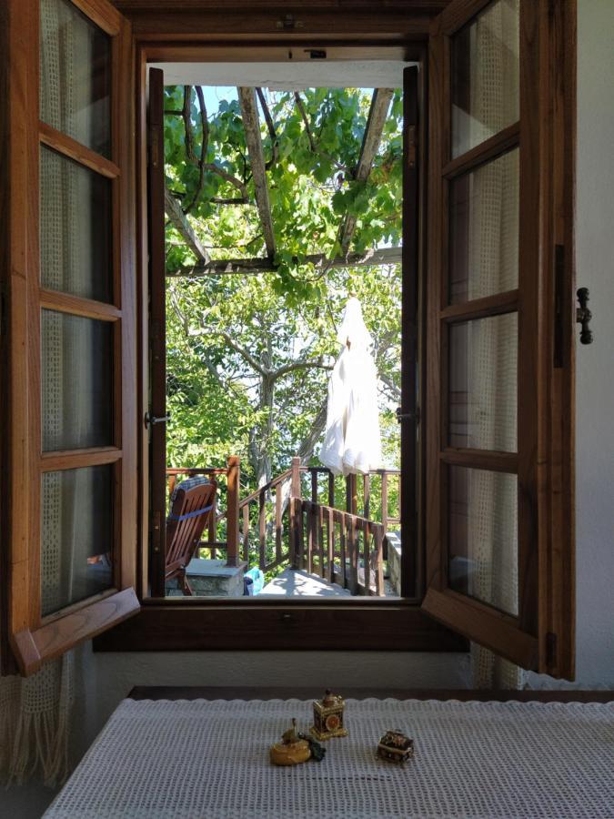 Villa Katerina Tsagarada Esterno foto