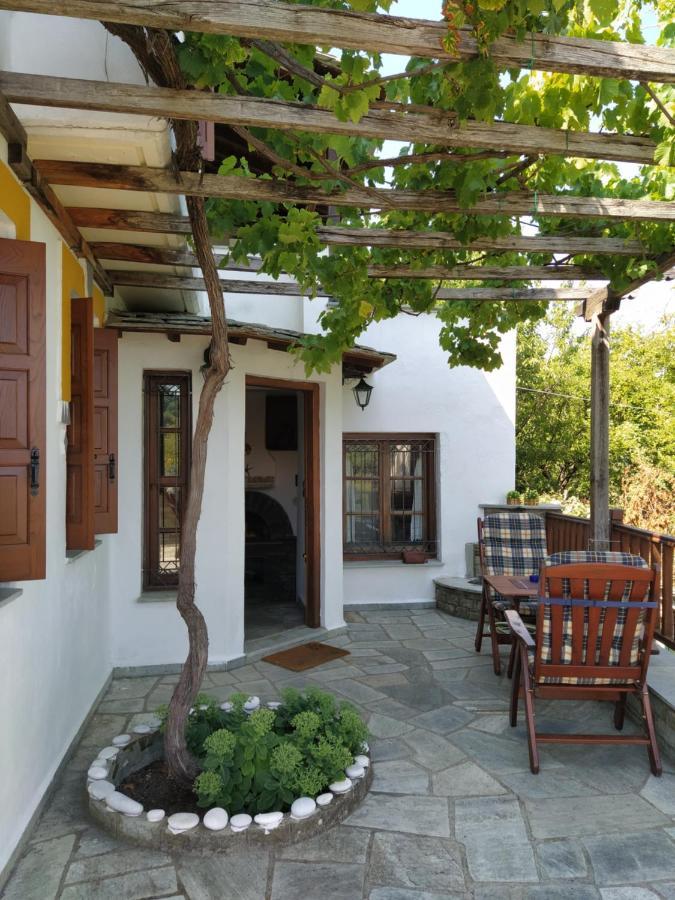 Villa Katerina Tsagarada Esterno foto