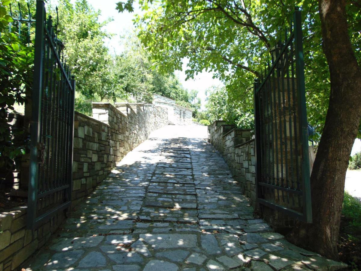 Villa Katerina Tsagarada Esterno foto